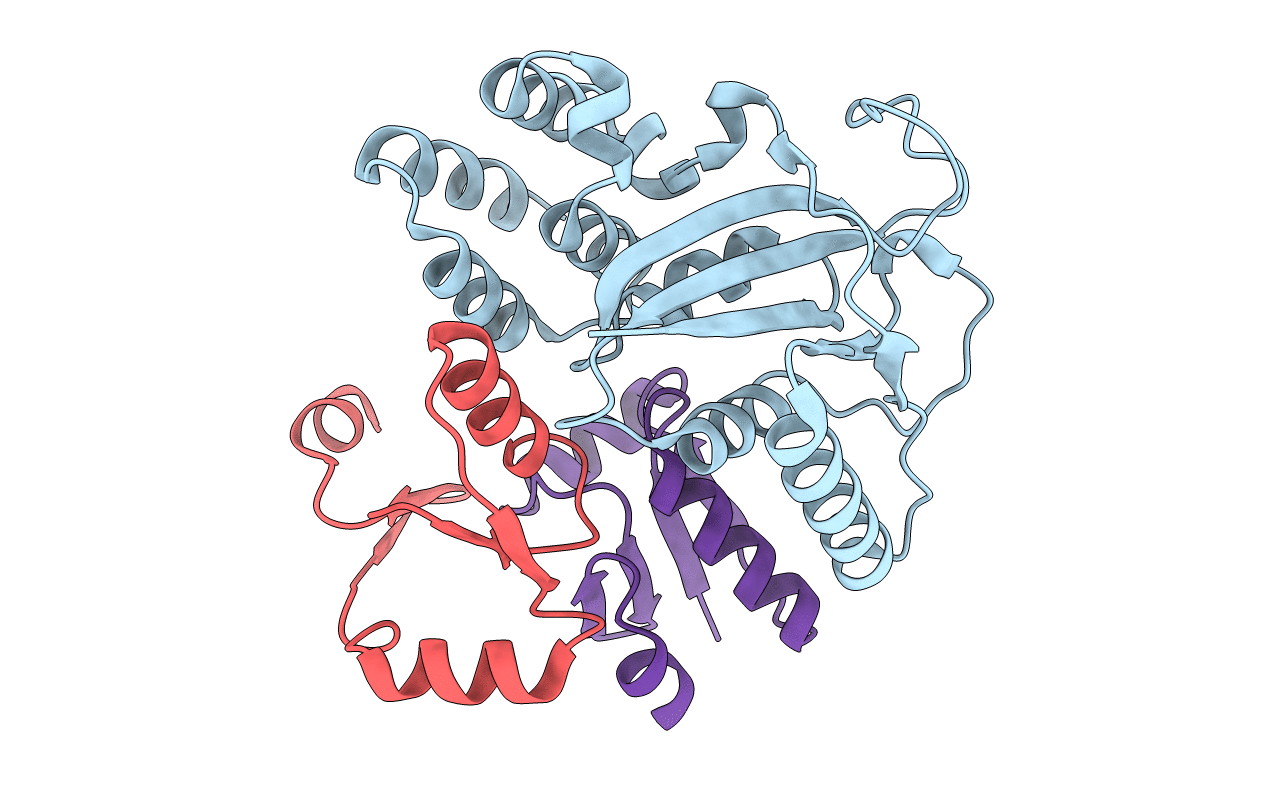 7C13 image