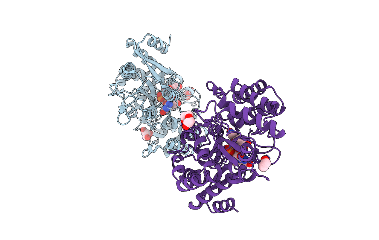 7C14 image