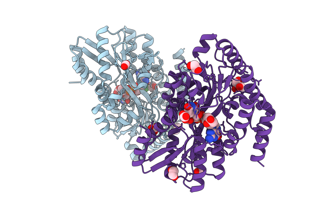 7C15 image