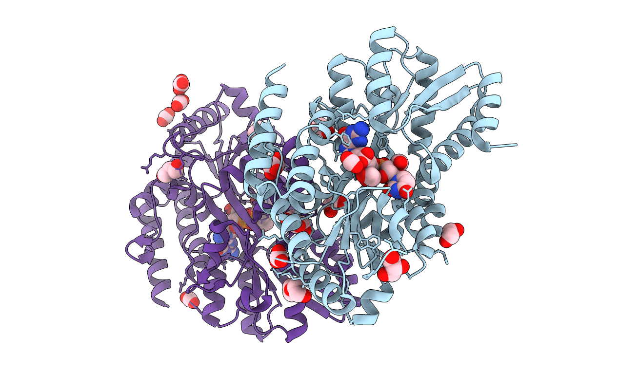 7C16 image