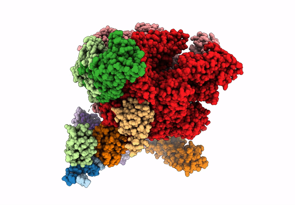 7C17 image