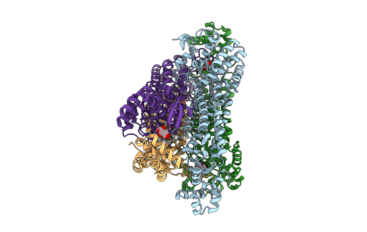 7C1A image