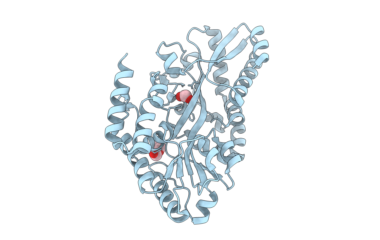 7C1B image