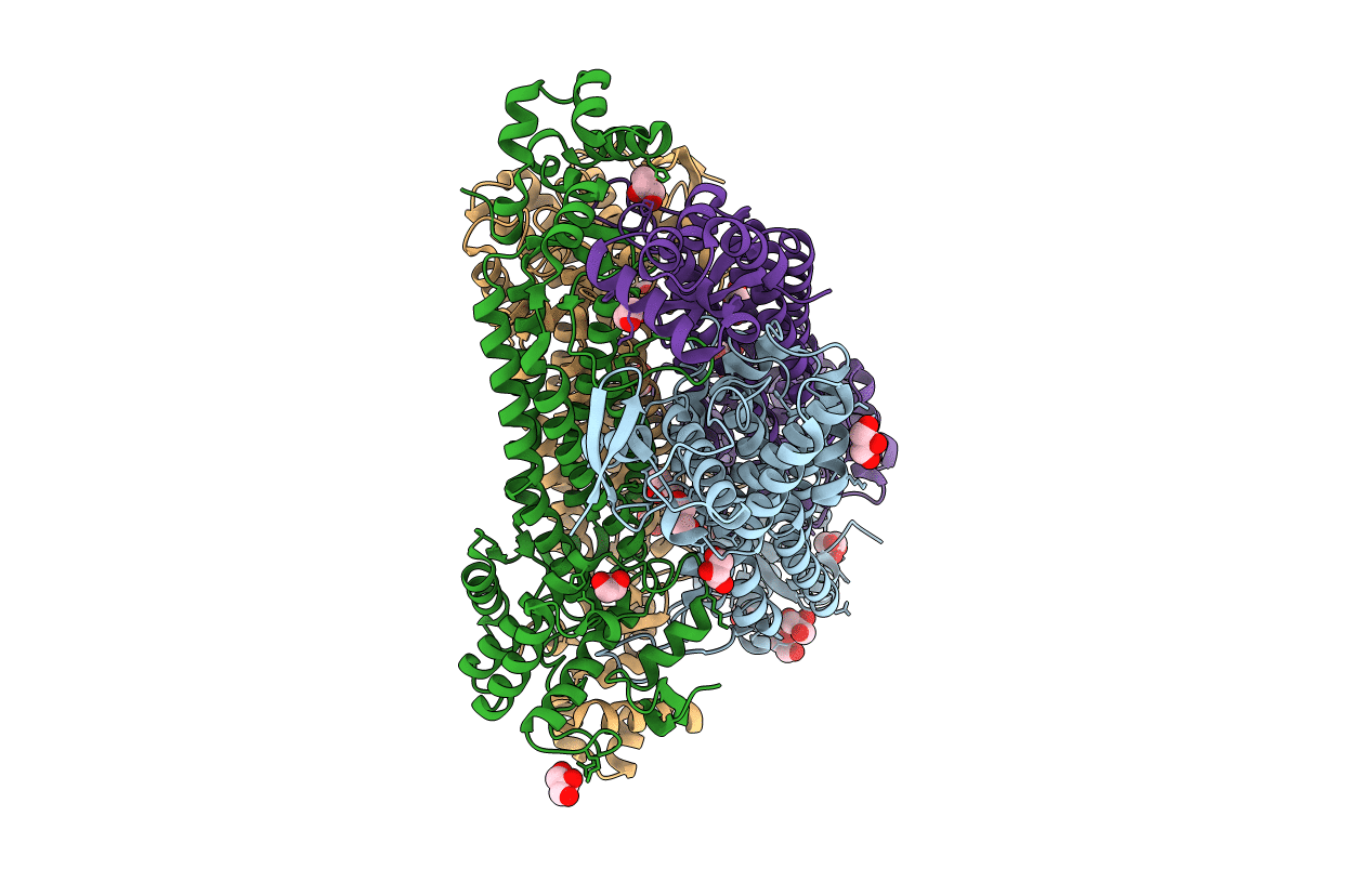 7C1C image