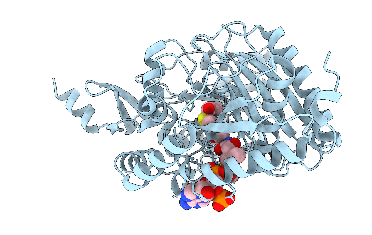 7C1L image