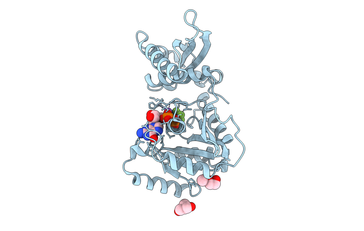 7C1O image