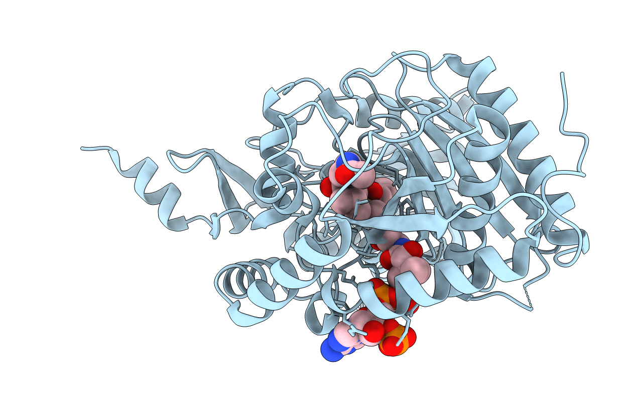 7C1S image
