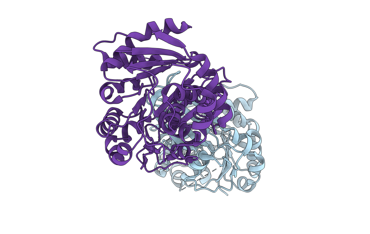 7C1X image