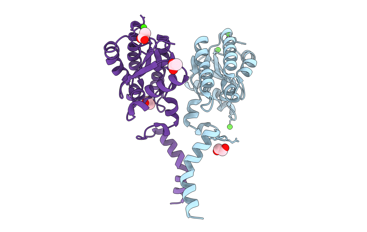 7C29 image