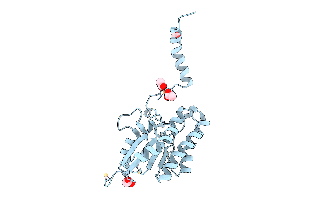 7C2A image