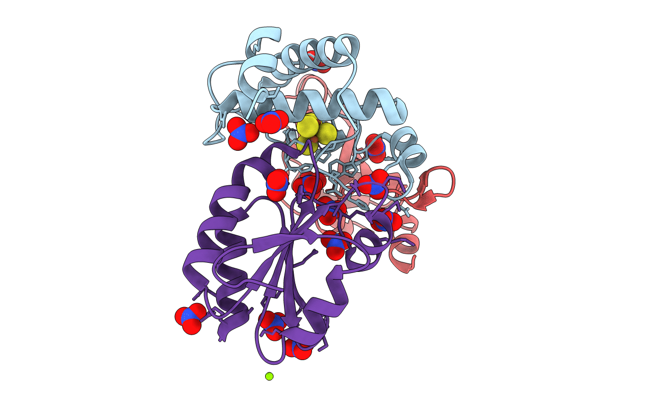 7C2B image