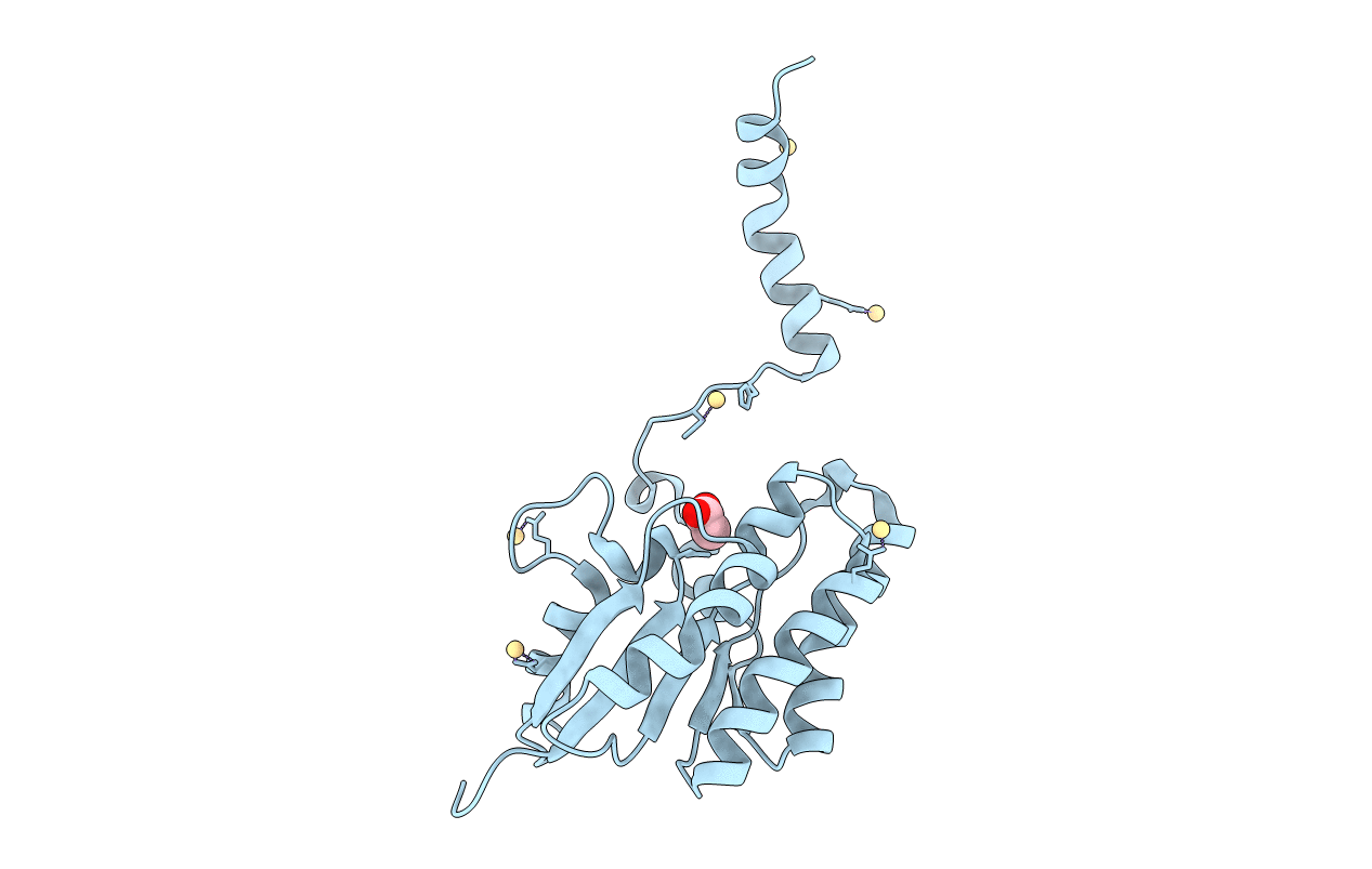 7C2D image