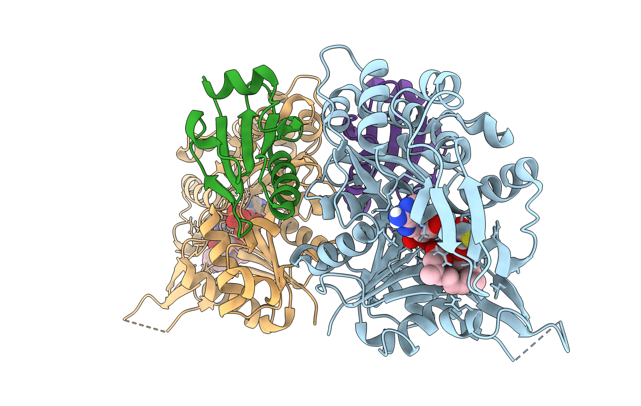 7C2F image