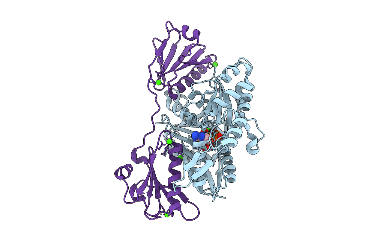 7C2H image