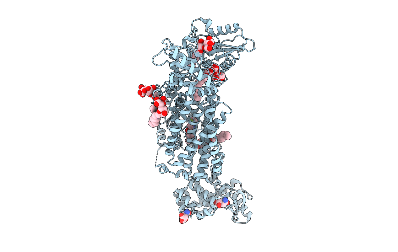 7C2M image