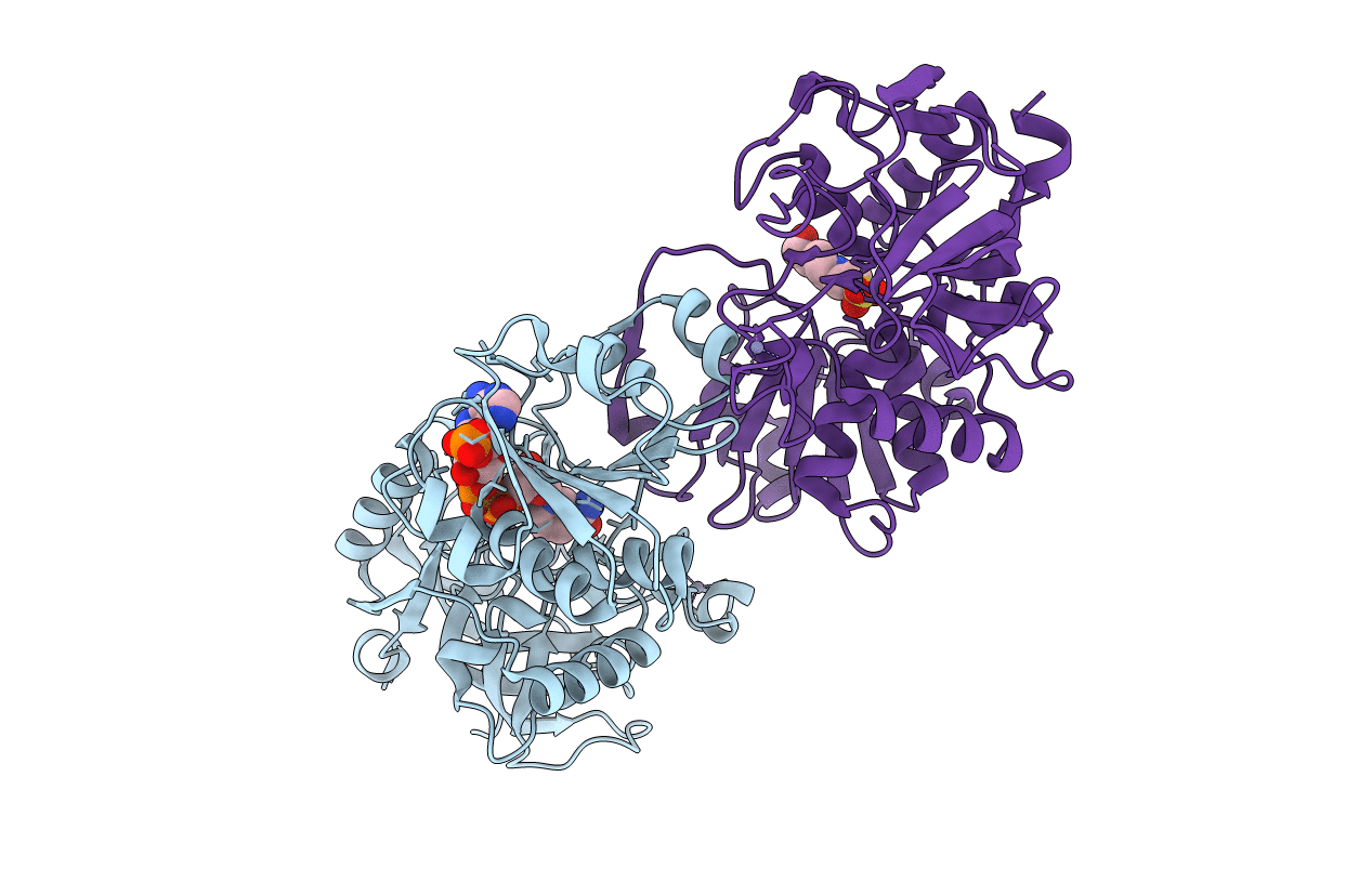 7C2O image