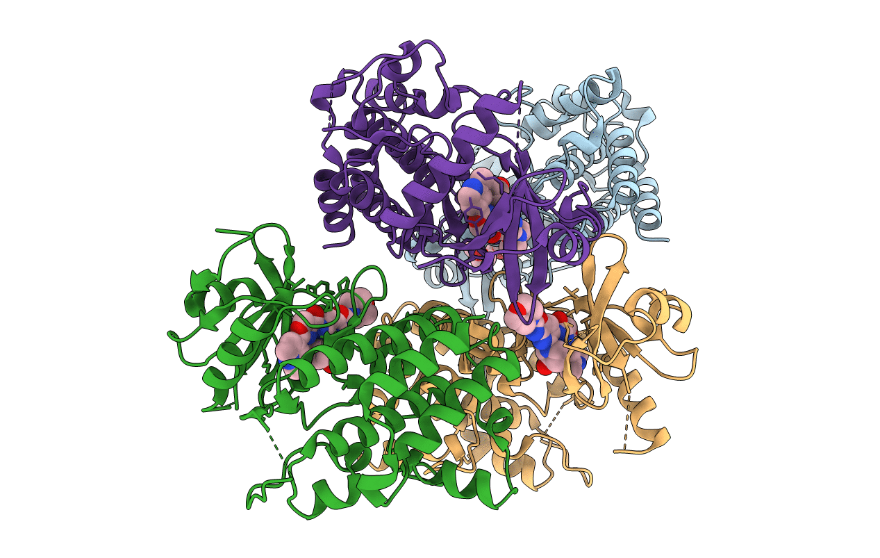7C2V image