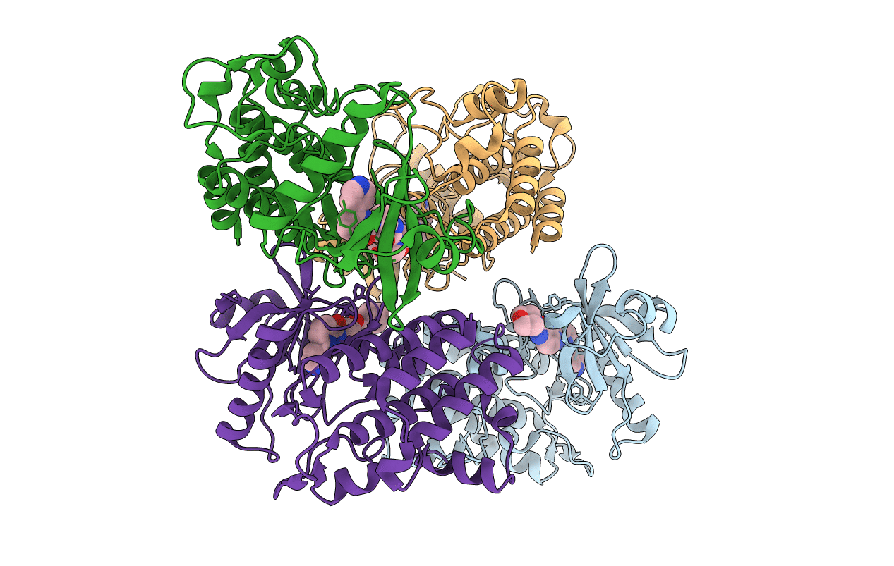 7C2W image