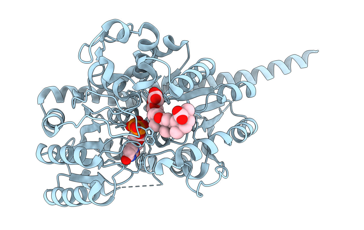7C2X image