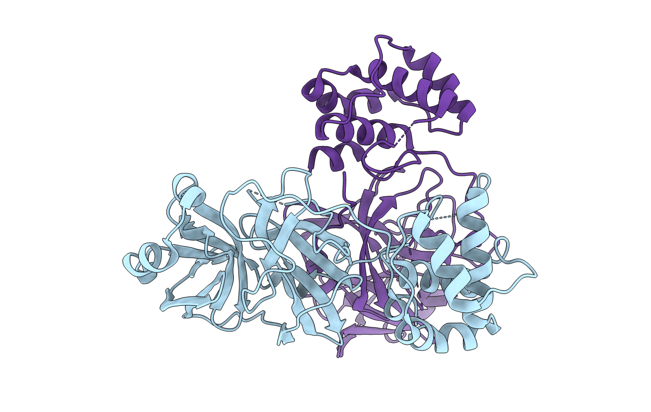 7C2Y image