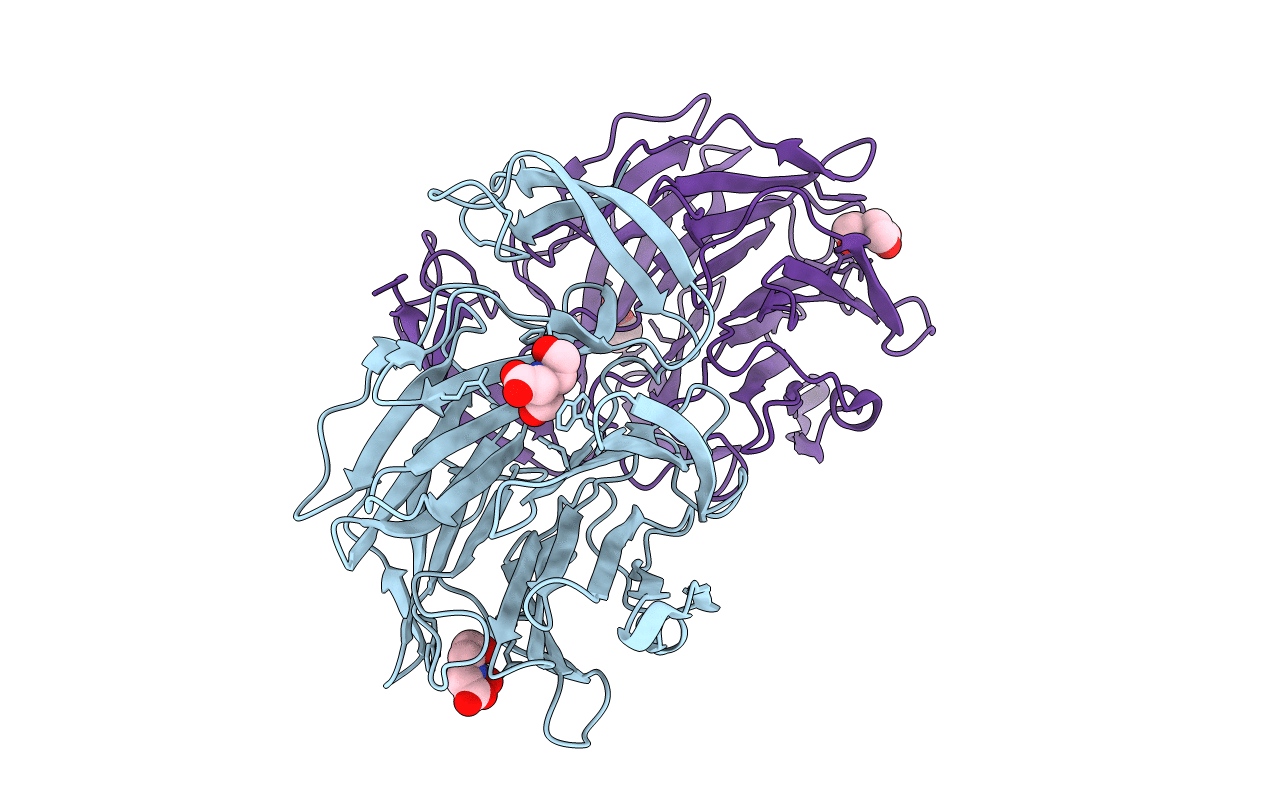 7C37 image