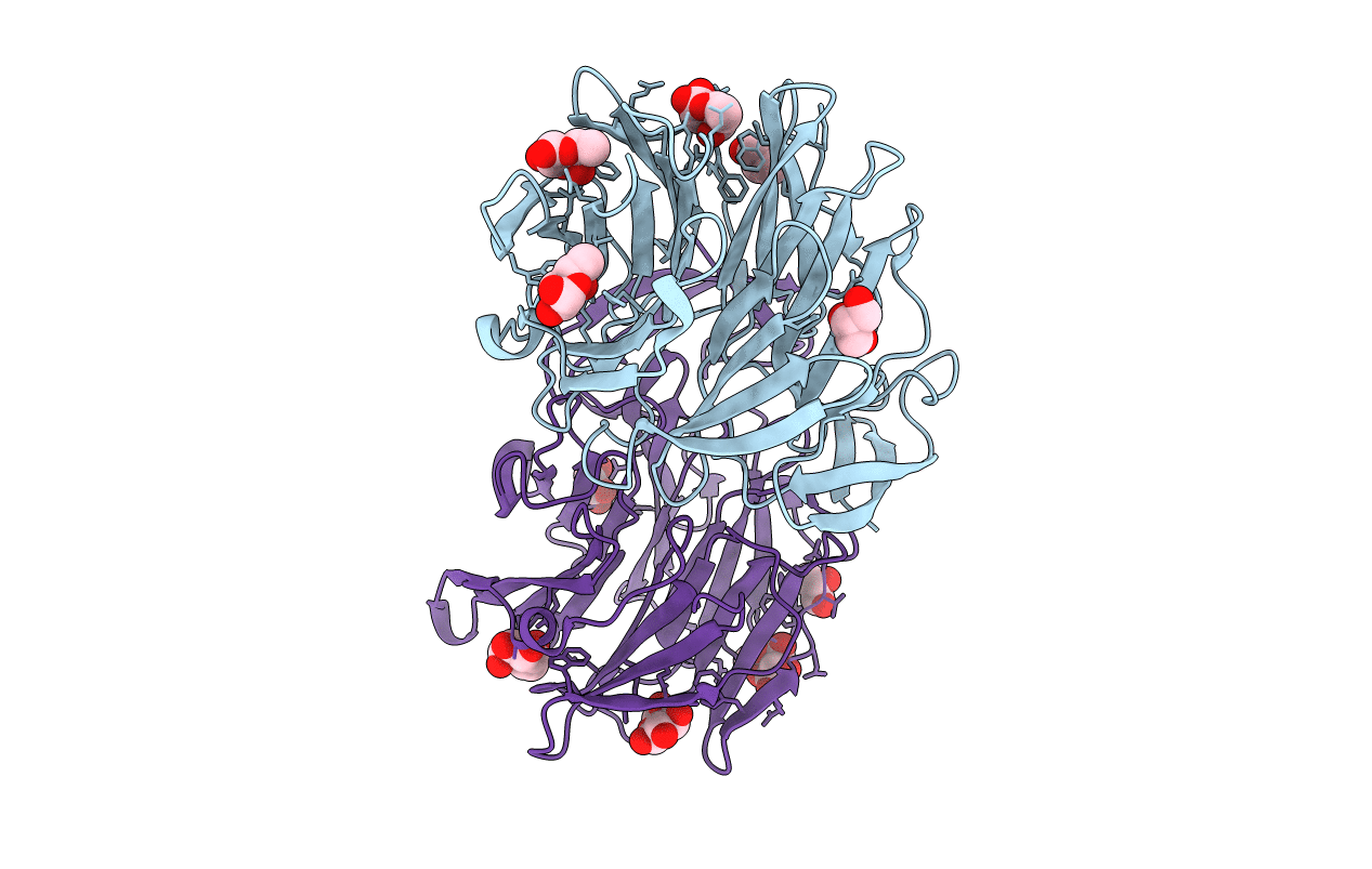 7C38 image