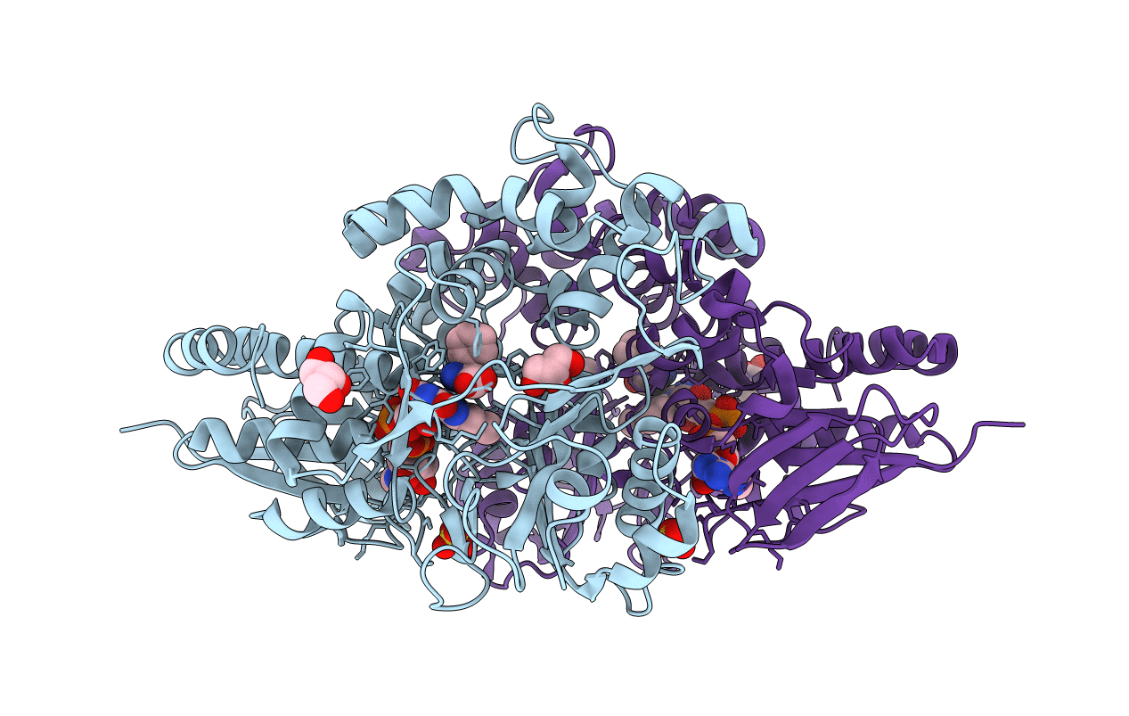 7C3J image