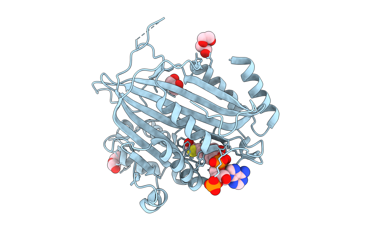 7C3O image