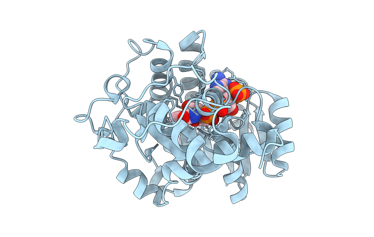7C3V image