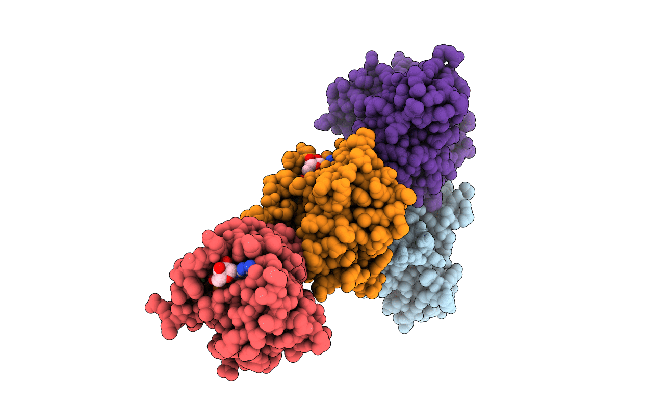 7C41 image