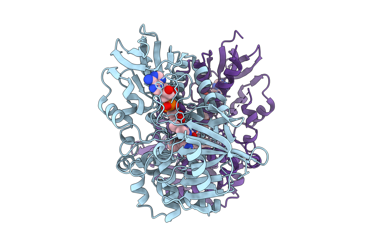 7C49 image