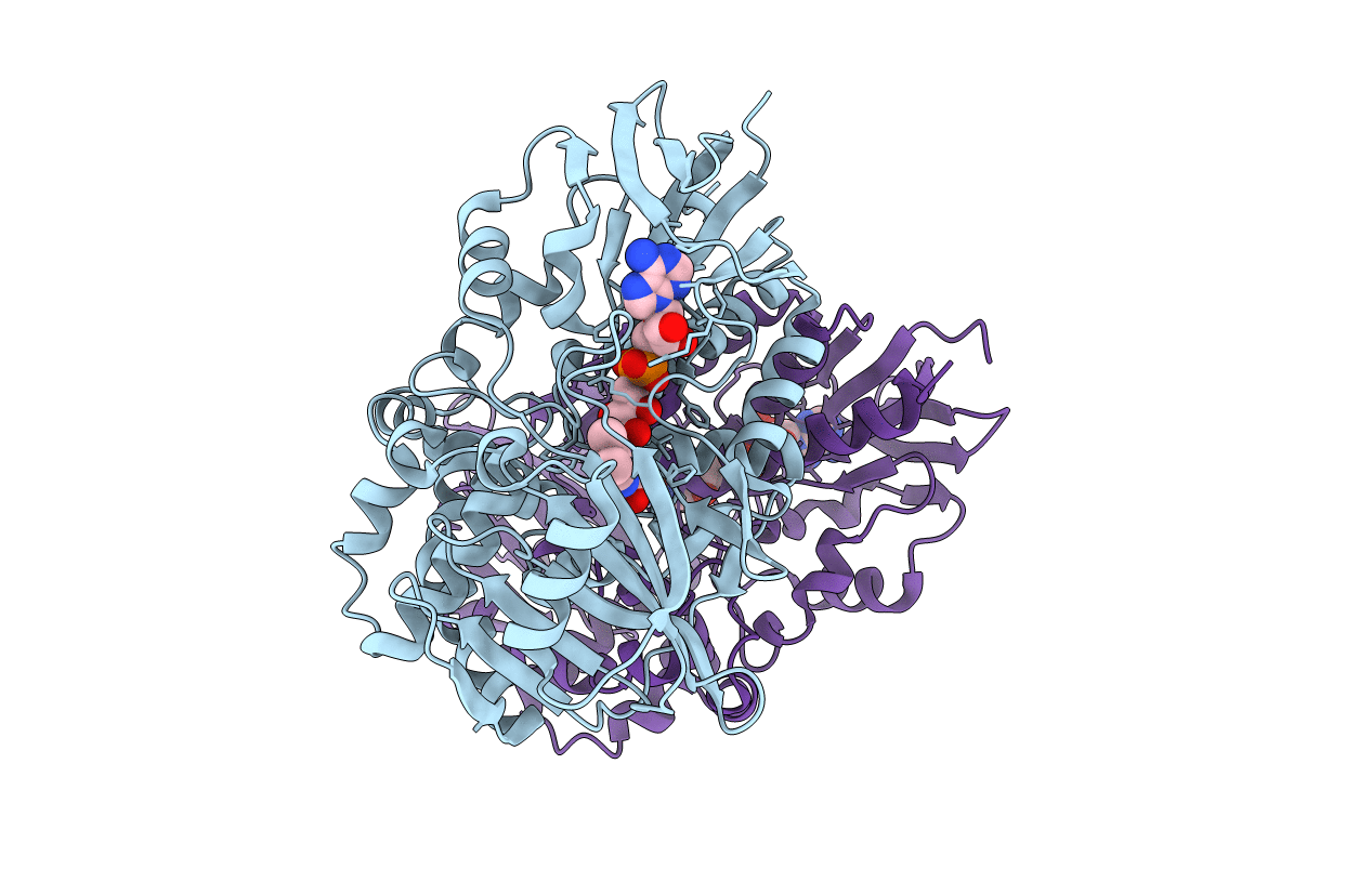 7C4A image