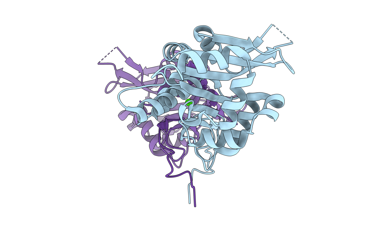 7C4H image