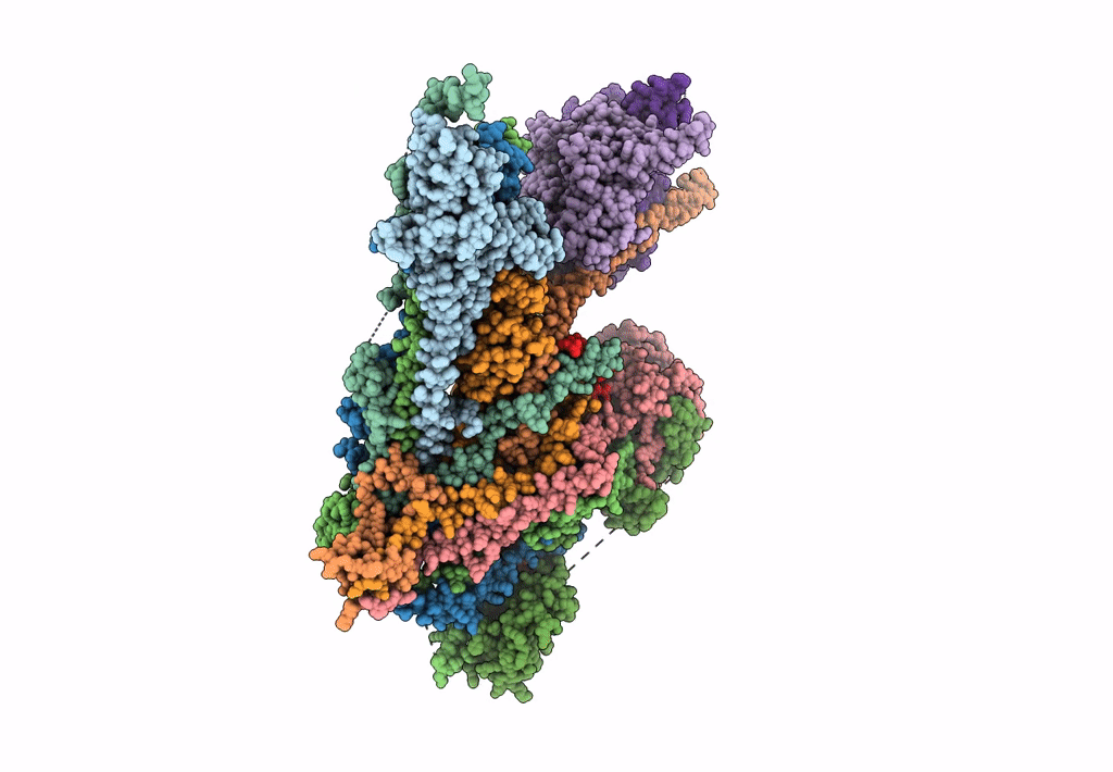 7C4J image