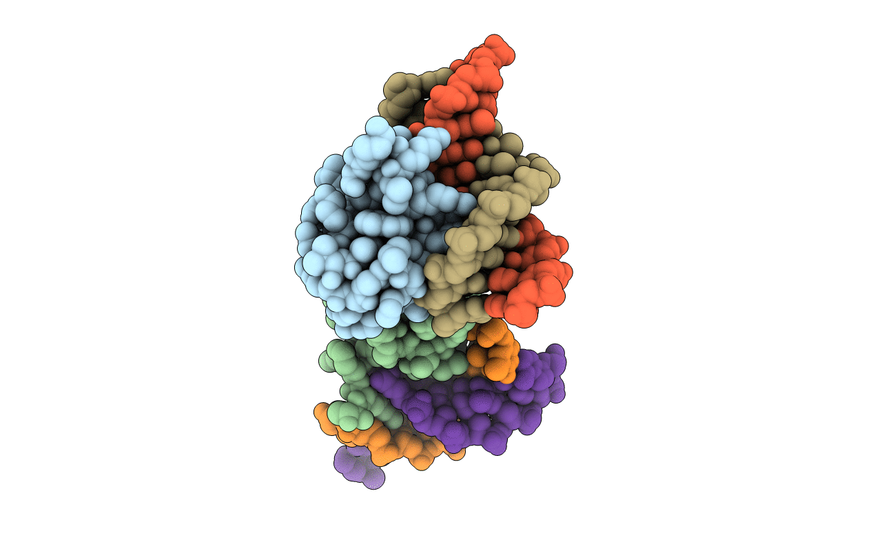 7C4P image