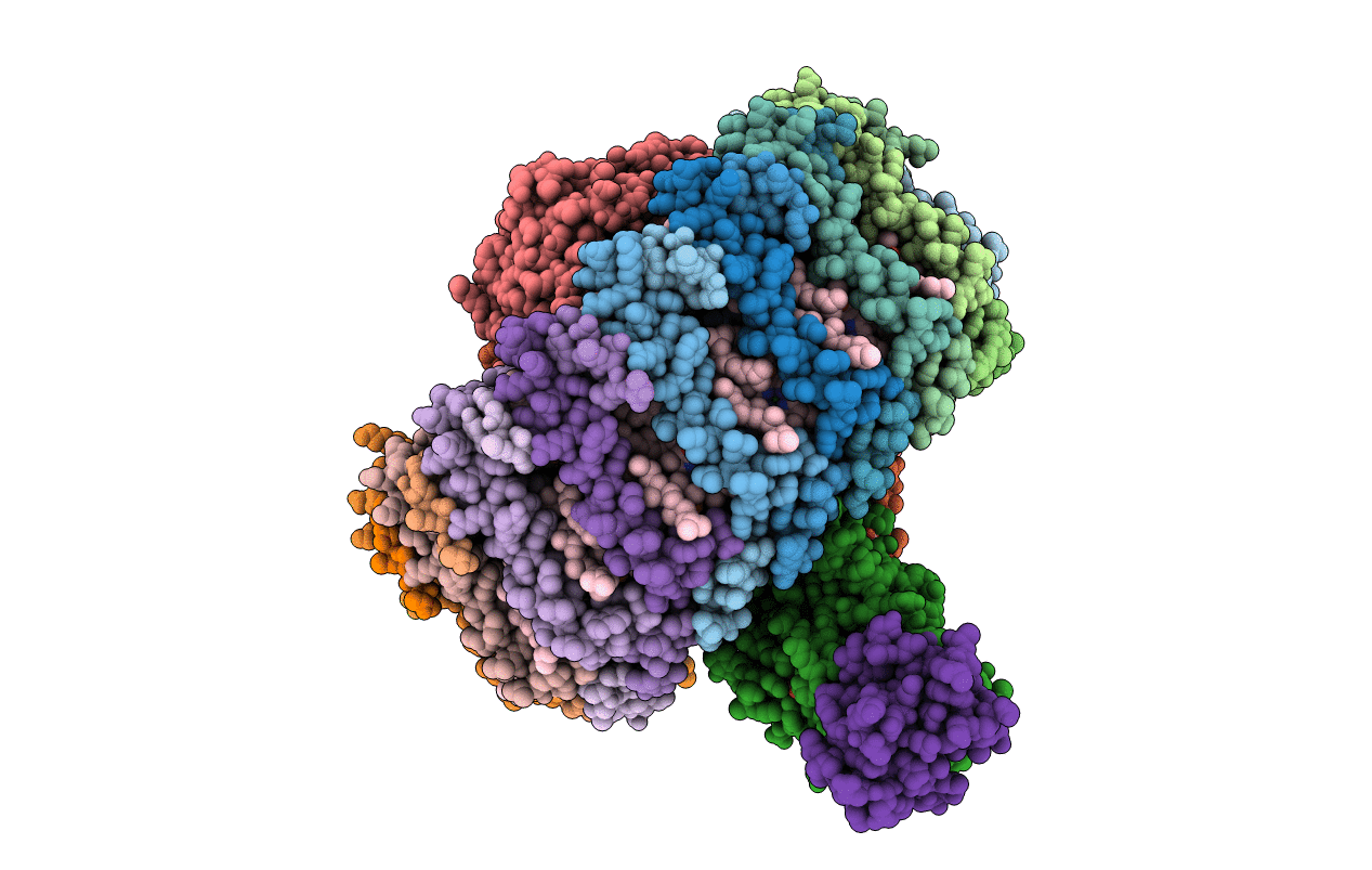 7C52 image
