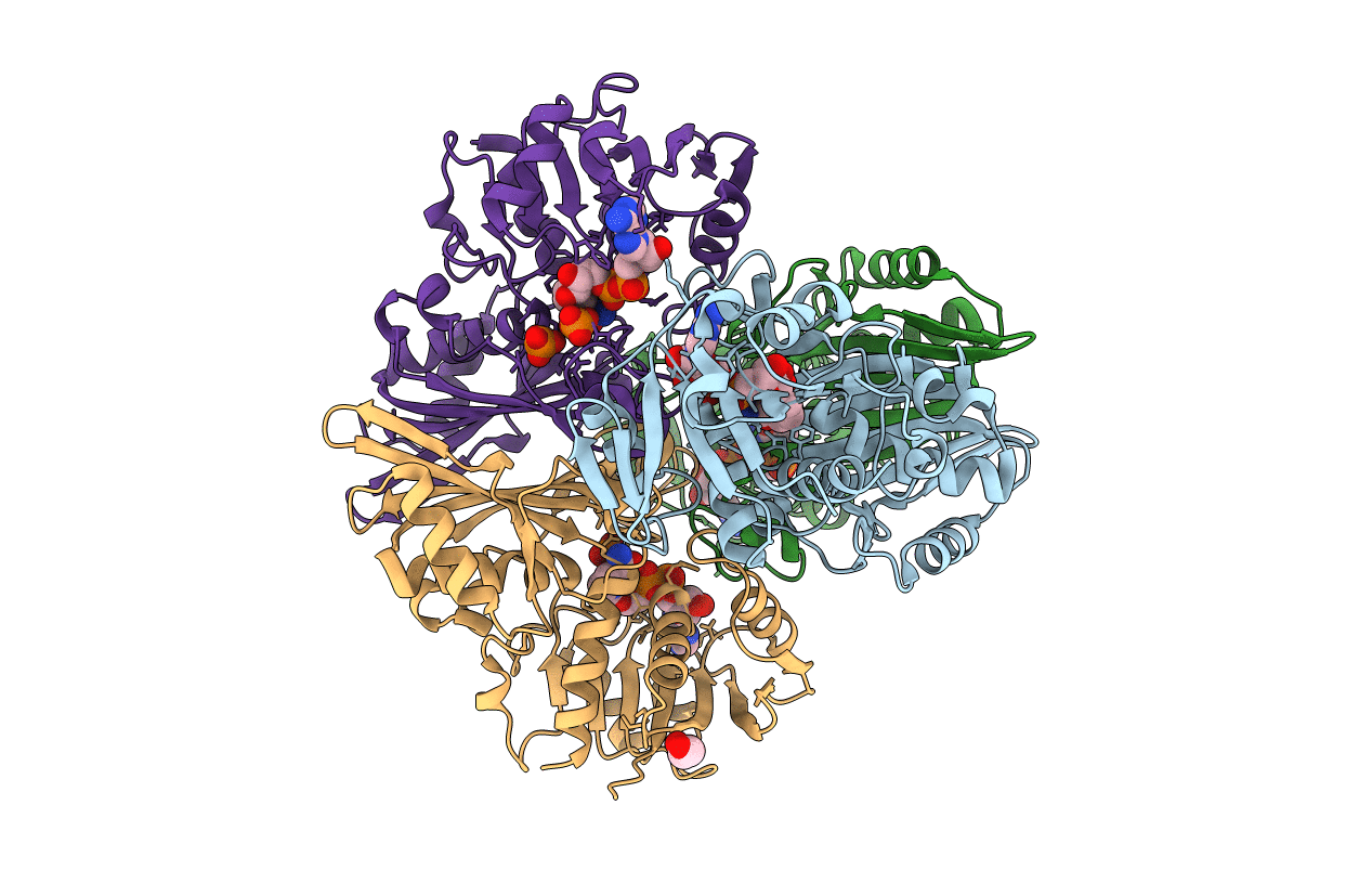 7C5G image