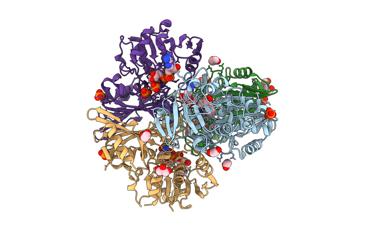 7C5H image