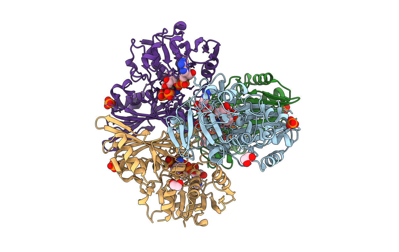 7C5I image