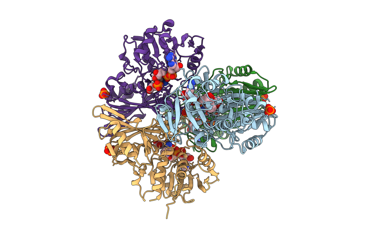 7C5K image