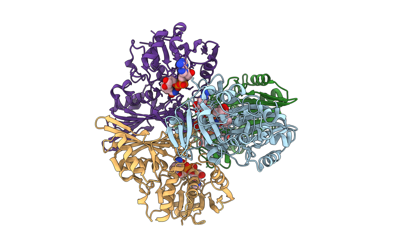 7C5L image