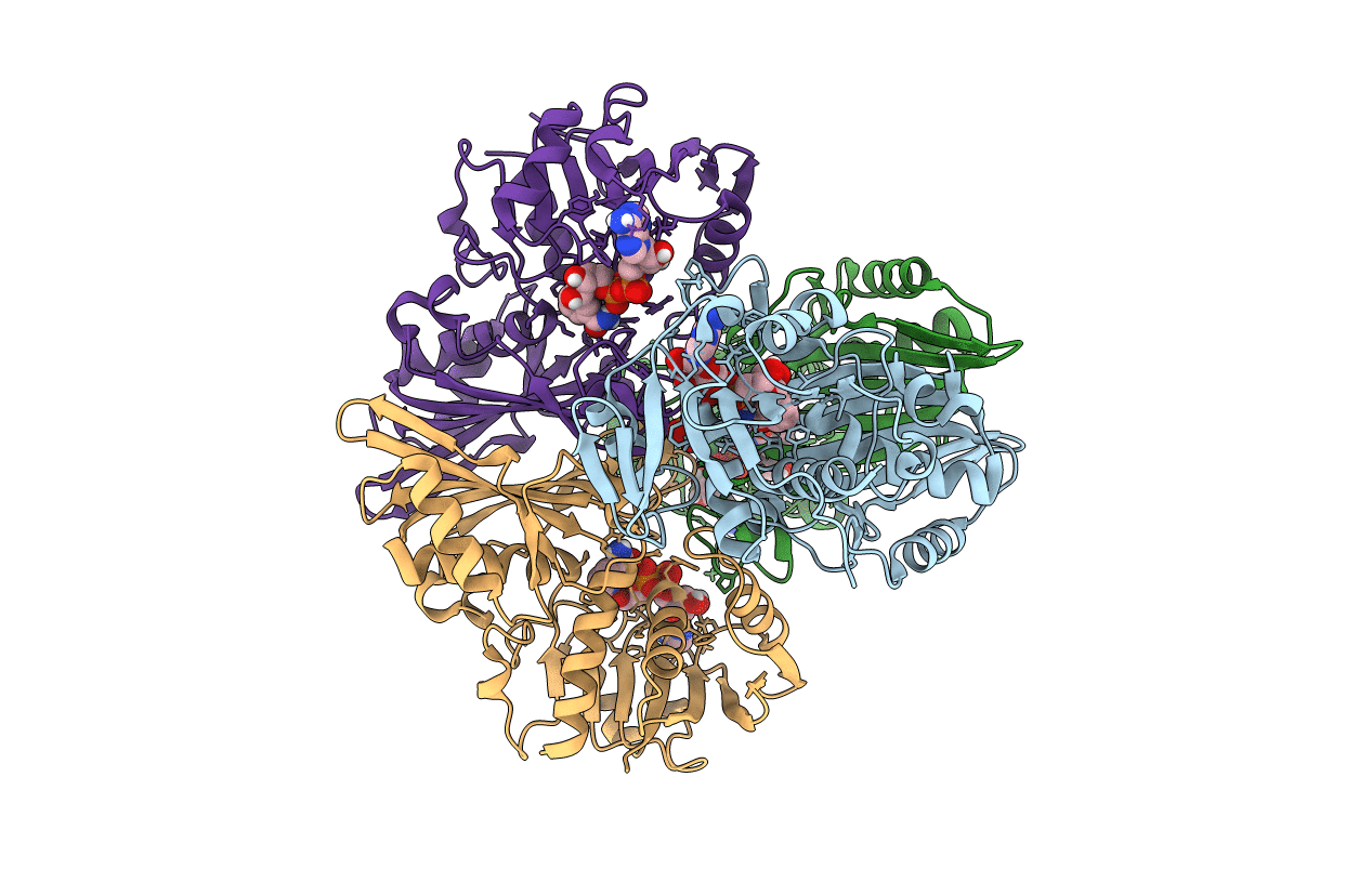7C5O image
