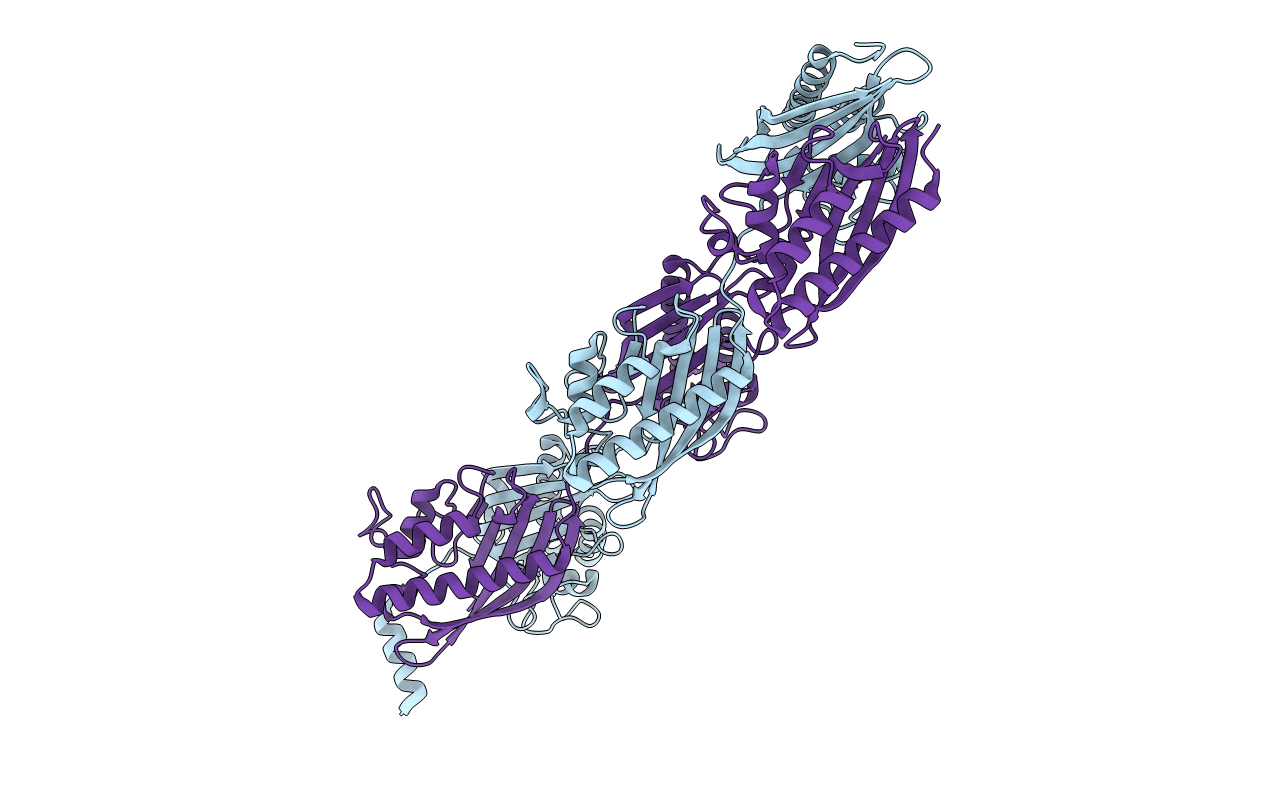 7C5Y image