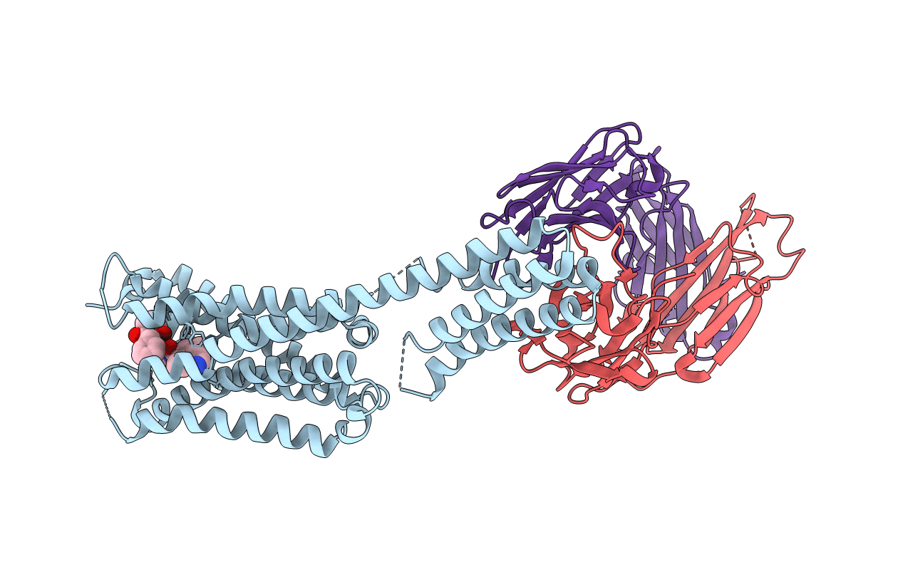 7C61 image