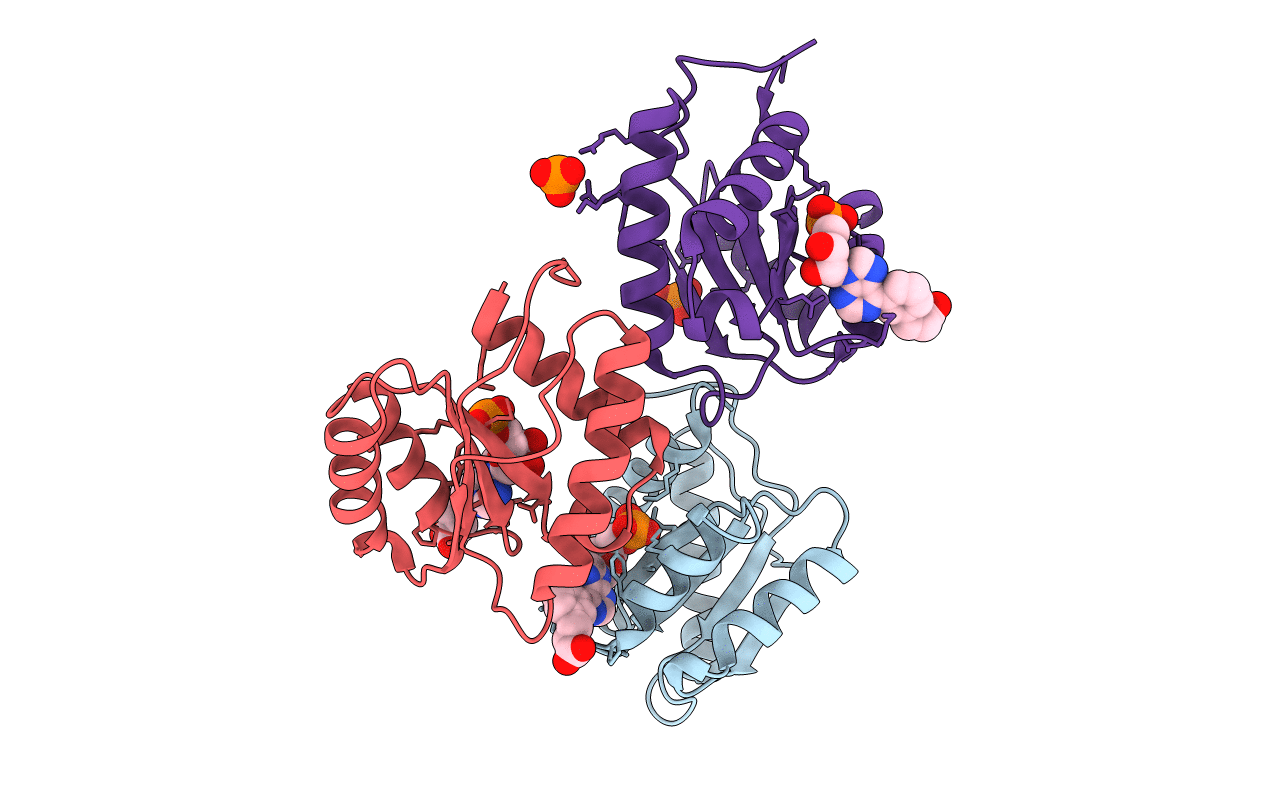 7C6B image