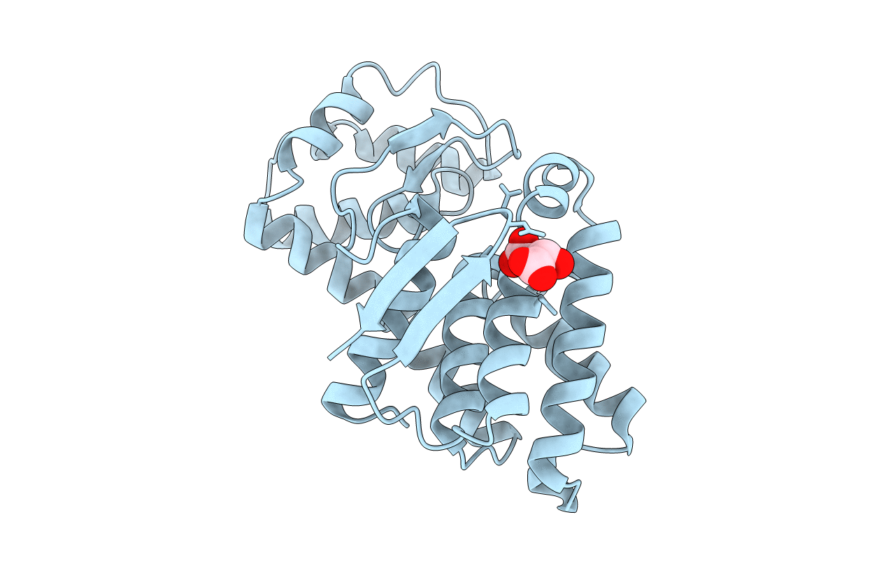 7C6C image