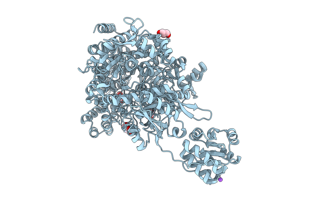 7C6O image
