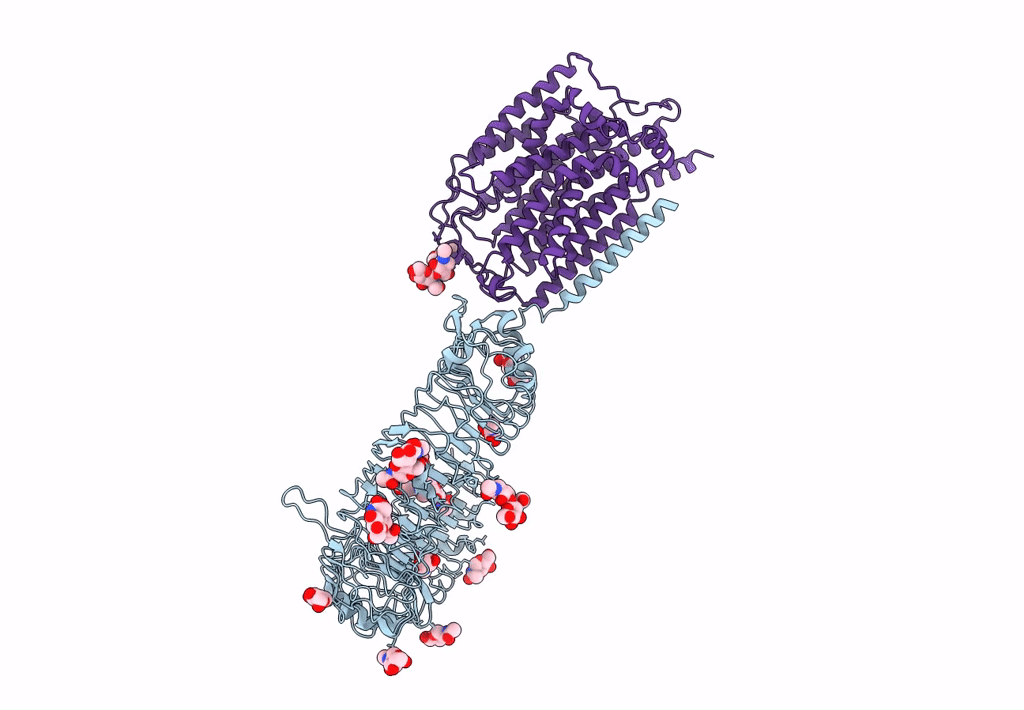 7C77 image