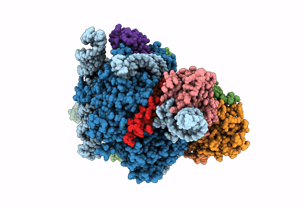 7C79 image