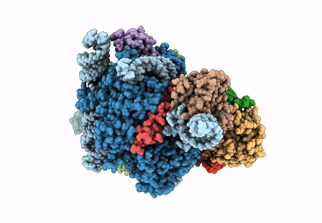 7C7A image